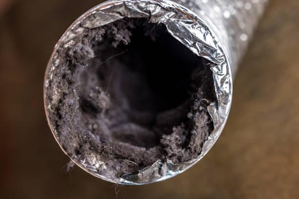 Best Air Duct Cleaning Near Me  in Thompsons Station, TN